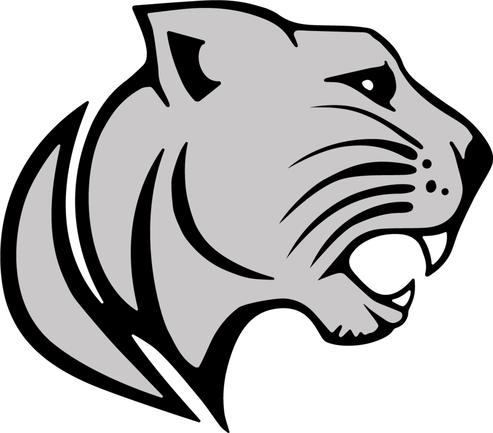 The side profile of a wildcat. 